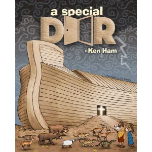 A Special Door (Hardcover)