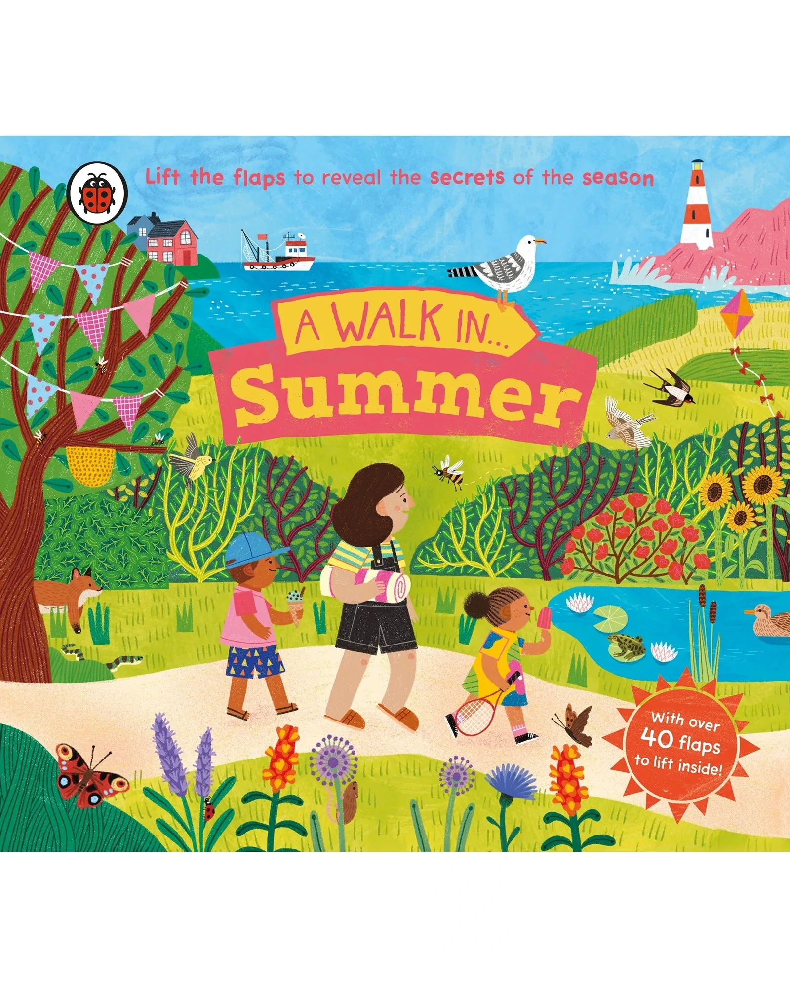 A Walk in Summer Board Book