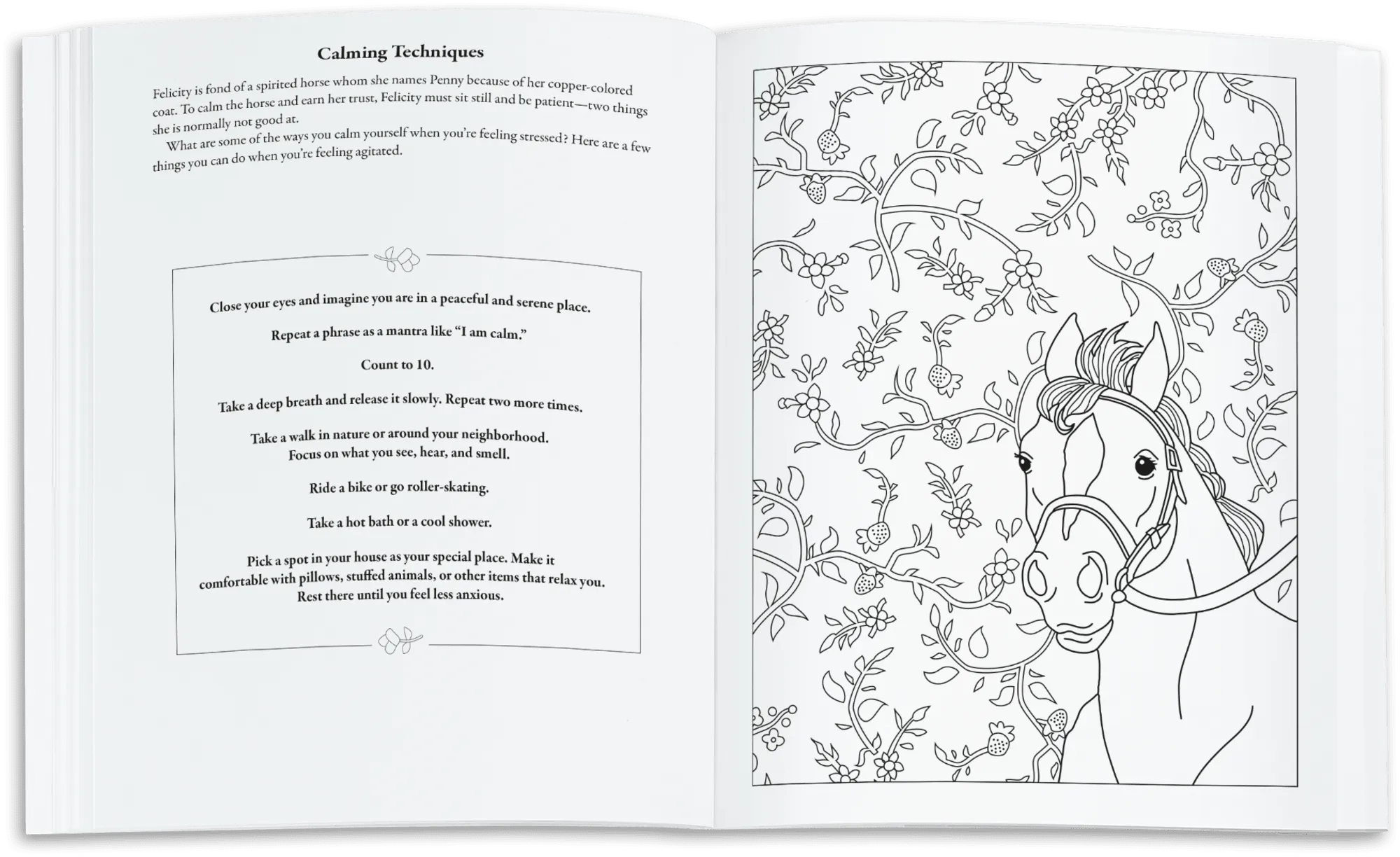 American Girl® Coloring Journal