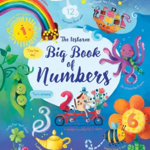 Big Book Of Numbers