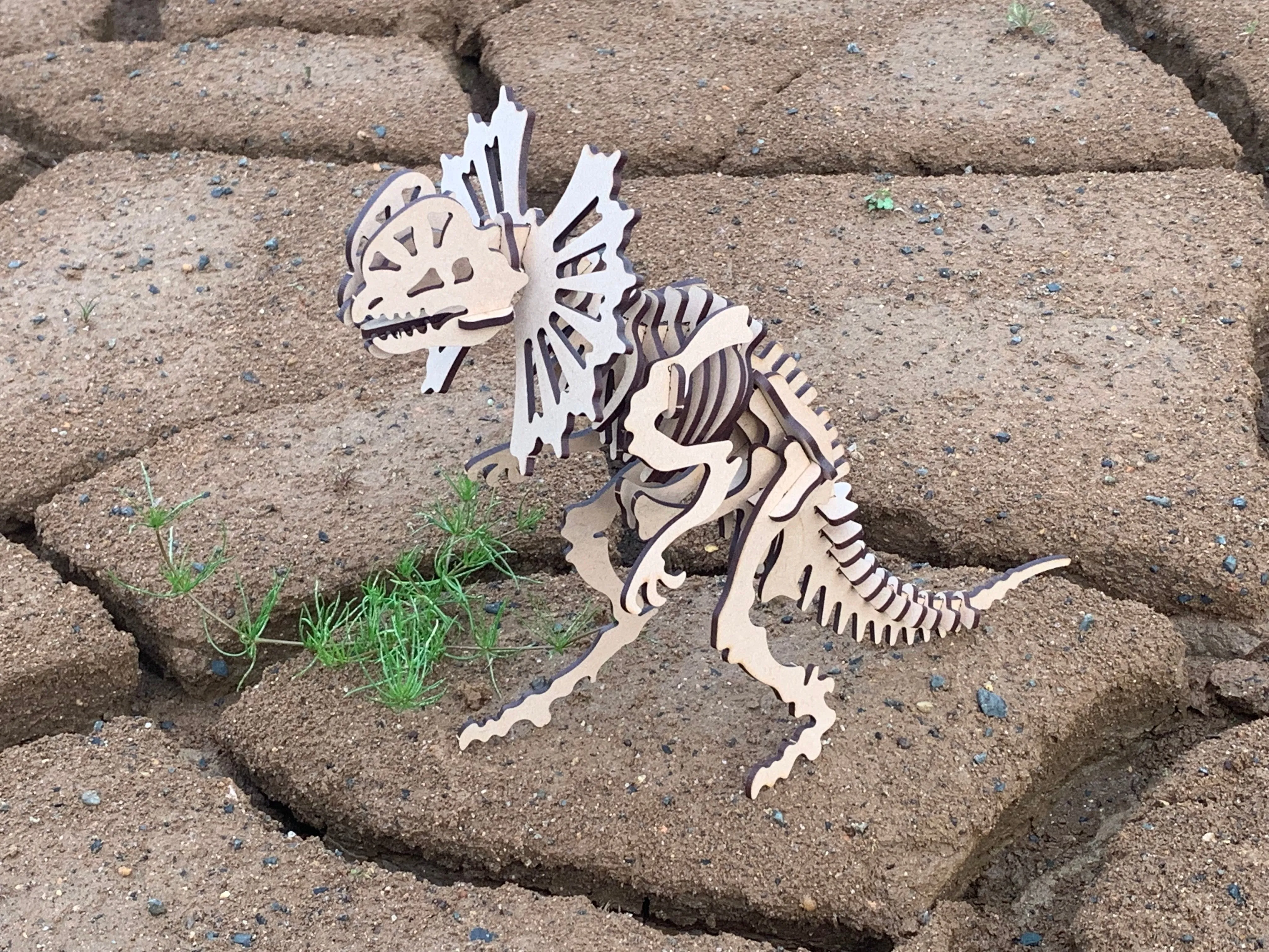 Big Dilophosaurus Dinosaur 3D Puzzle