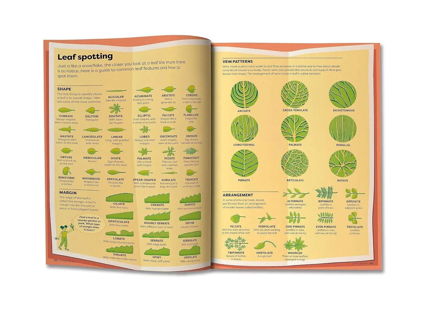 Britannica’s Encyclopedia Infographica: 1,000s of Facts & Figures - About Earth, Space, Animals, the Body, Technology & More