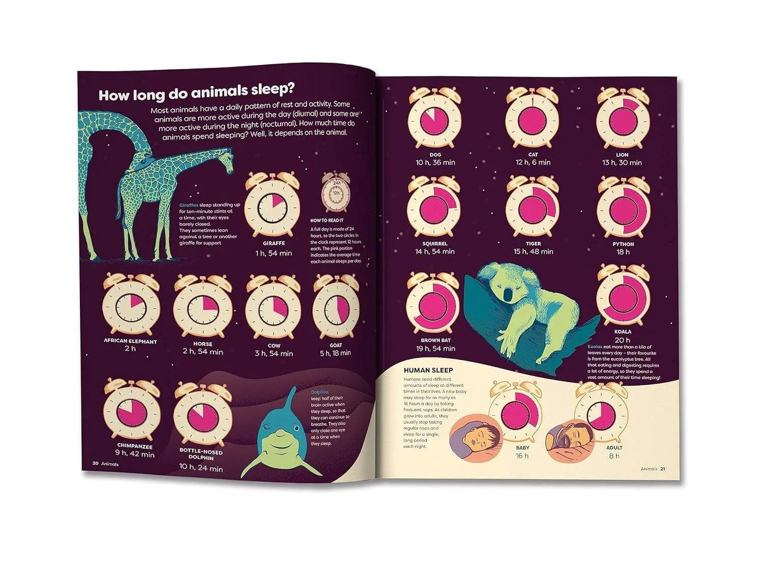 Britannica’s Encyclopedia Infographica: 1,000s of Facts & Figures - About Earth, Space, Animals, the Body, Technology & More