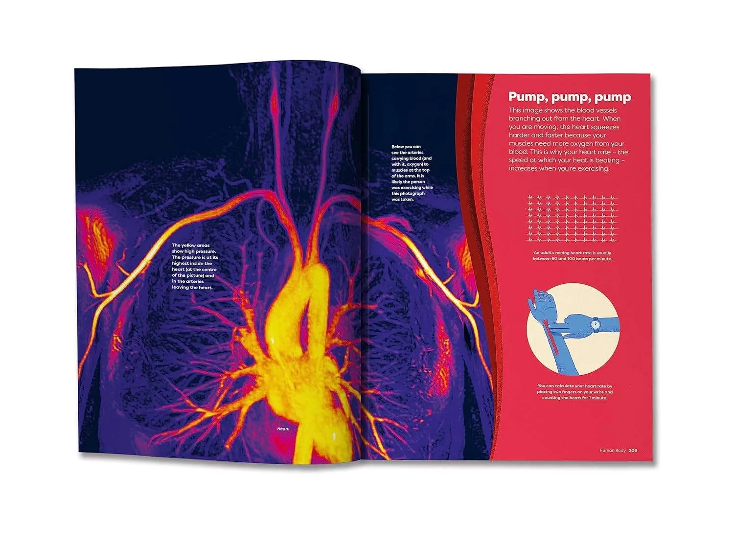 Britannica’s Encyclopedia Infographica: 1,000s of Facts & Figures - About Earth, Space, Animals, the Body, Technology & More