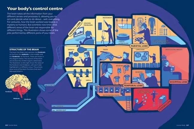 Britannica’s Encyclopedia Infographica: 1,000s of Facts & Figures - About Earth, Space, Animals, the Body, Technology & More