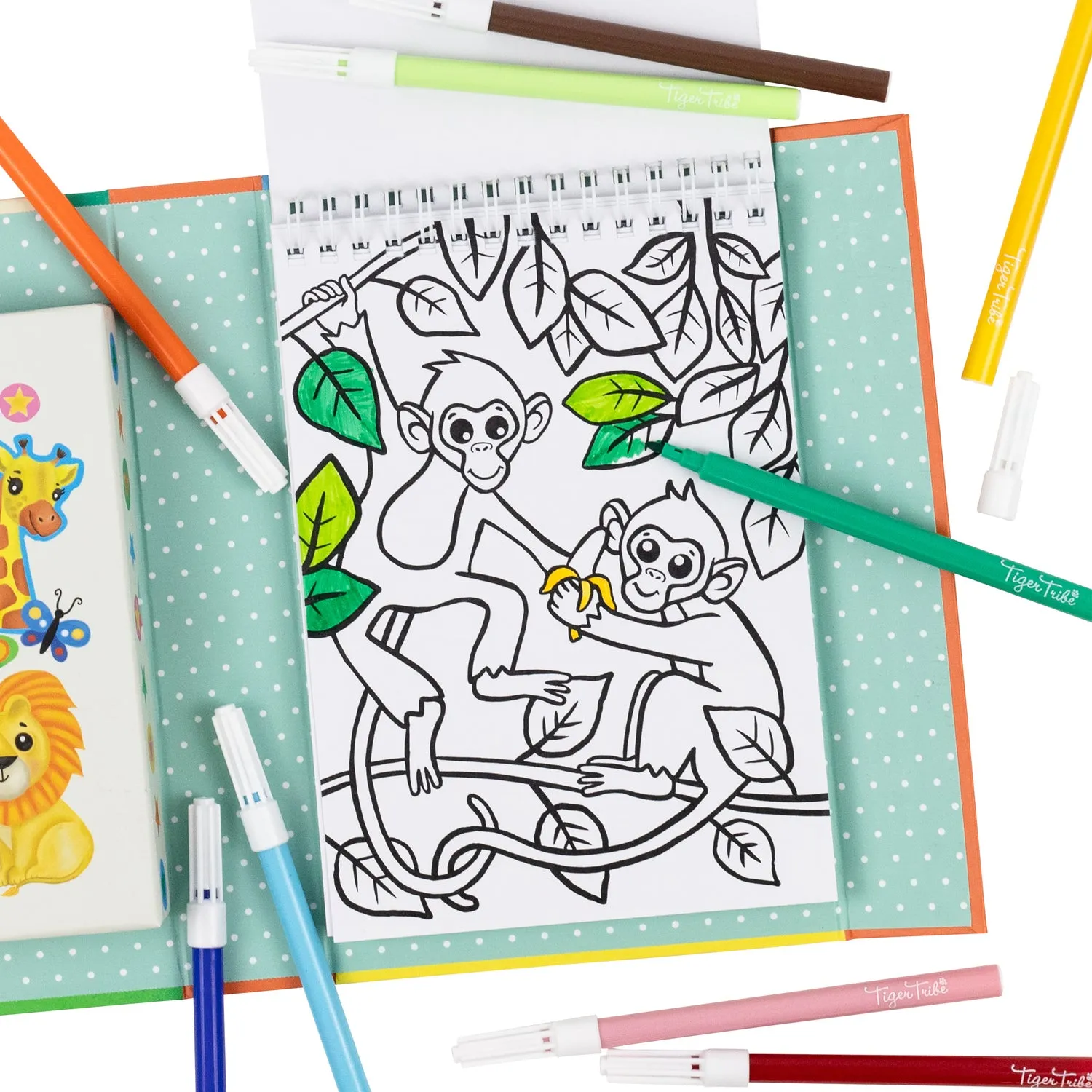 Coloring Set Zoo