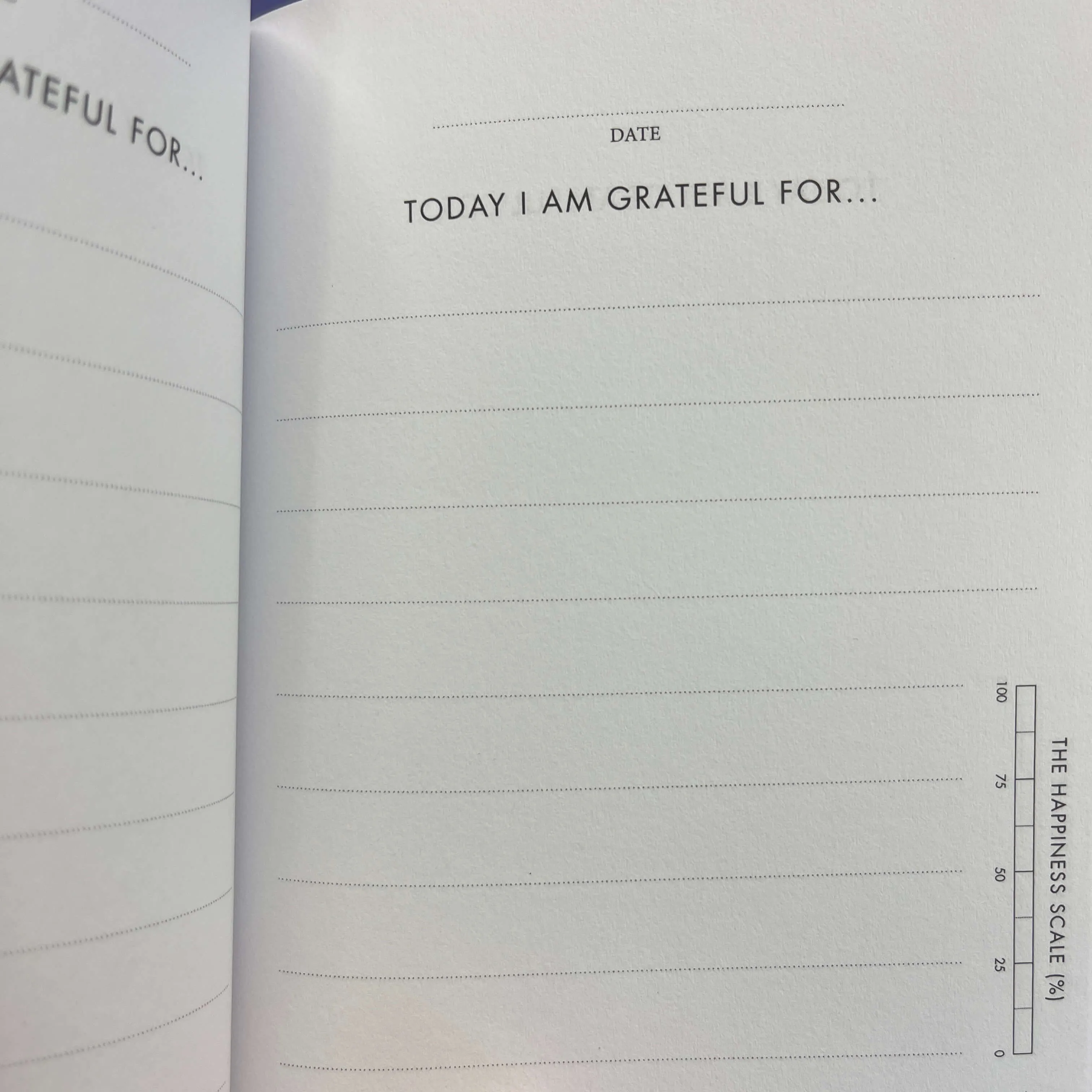 Dream Big Gratitude Journal for Teens