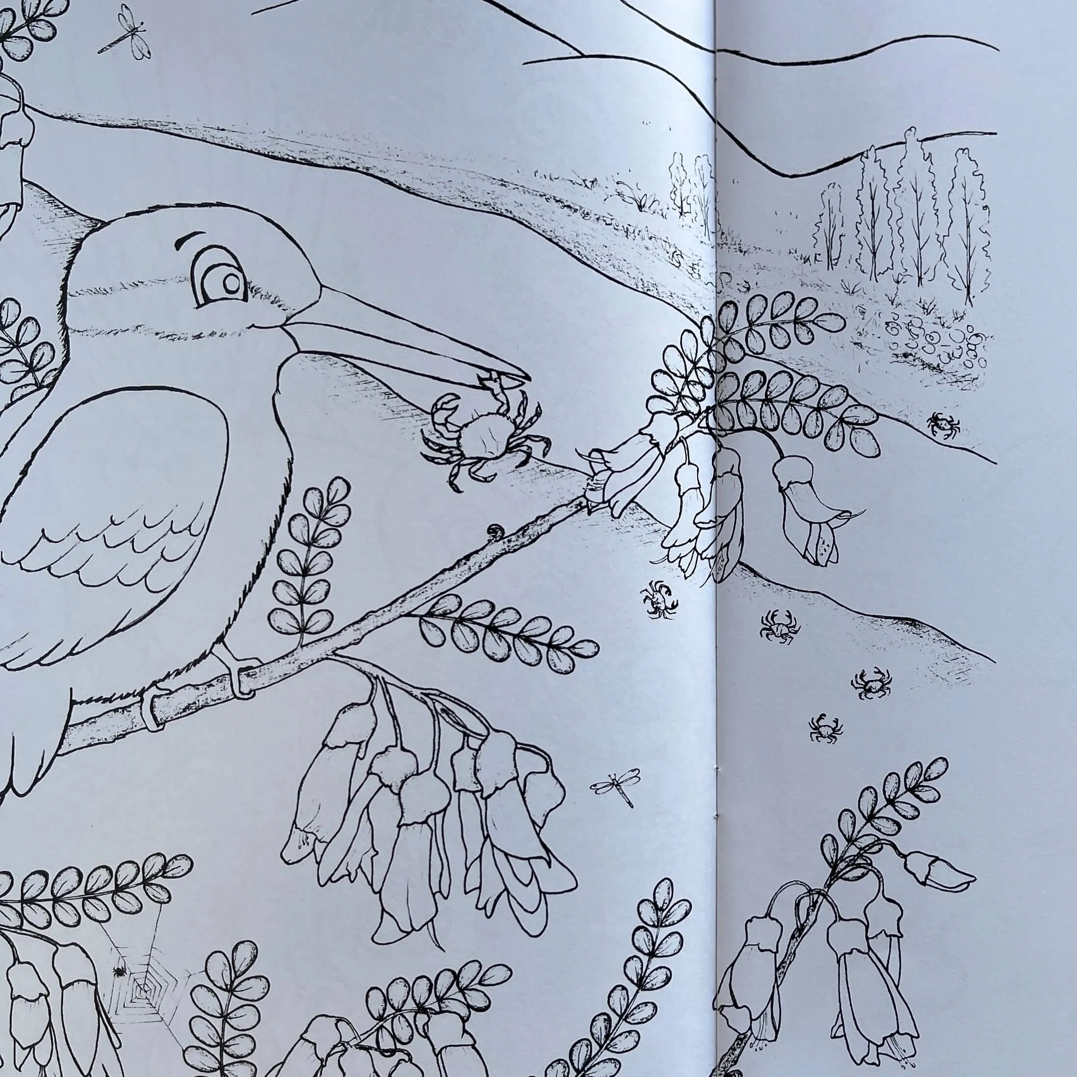 Kererū’s BBQ Colouring Book