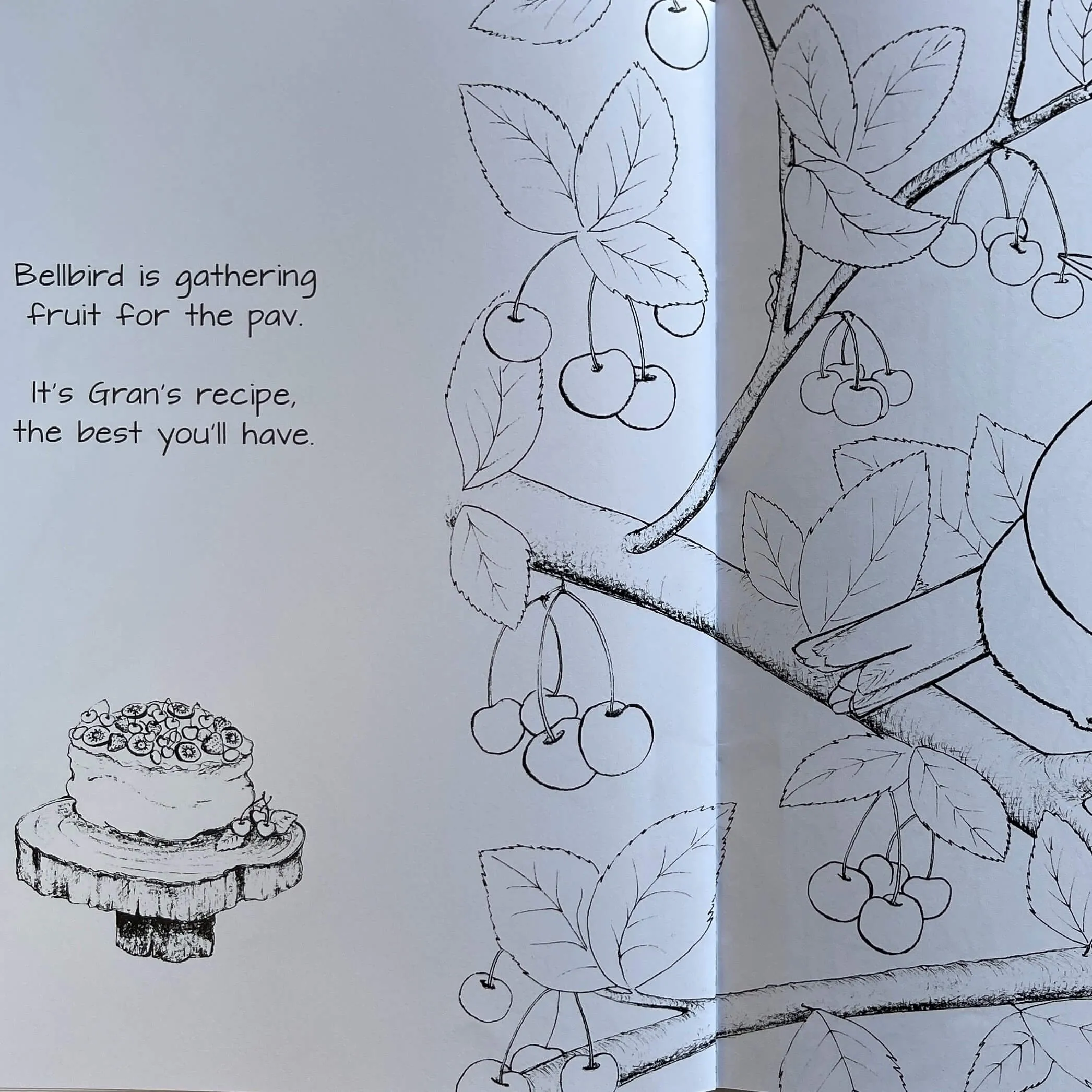 Kererū’s BBQ Colouring Book