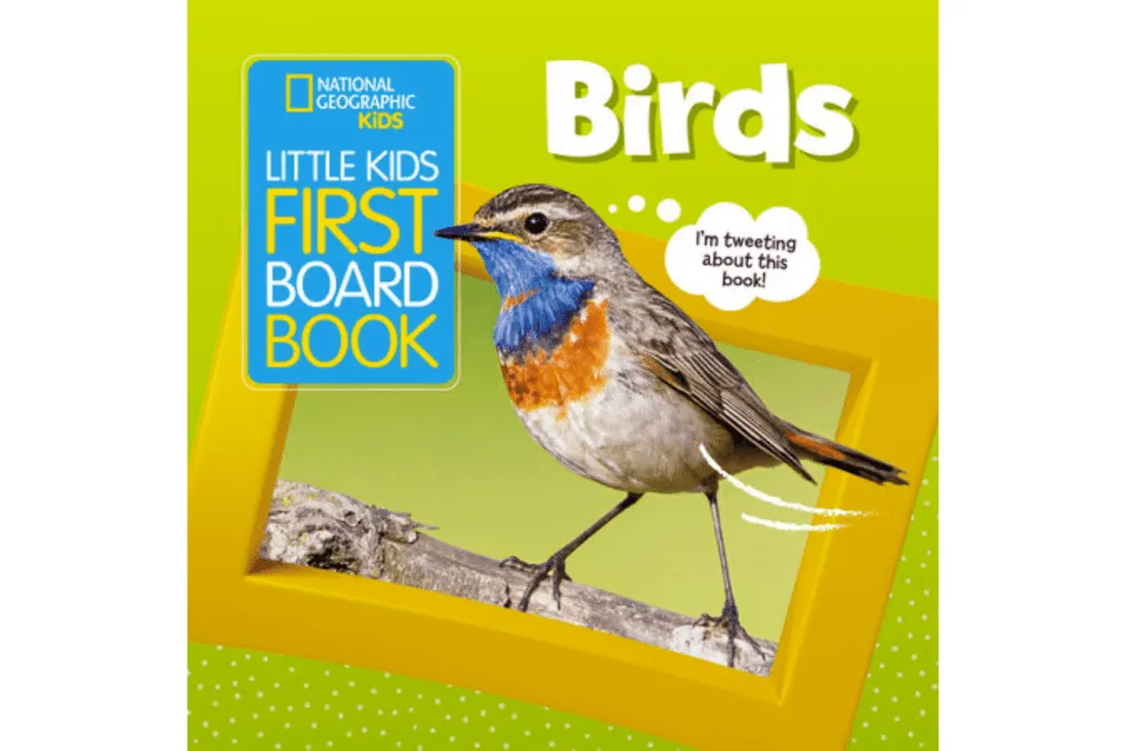 National Geographic's Little Kids First Board Book: Birds