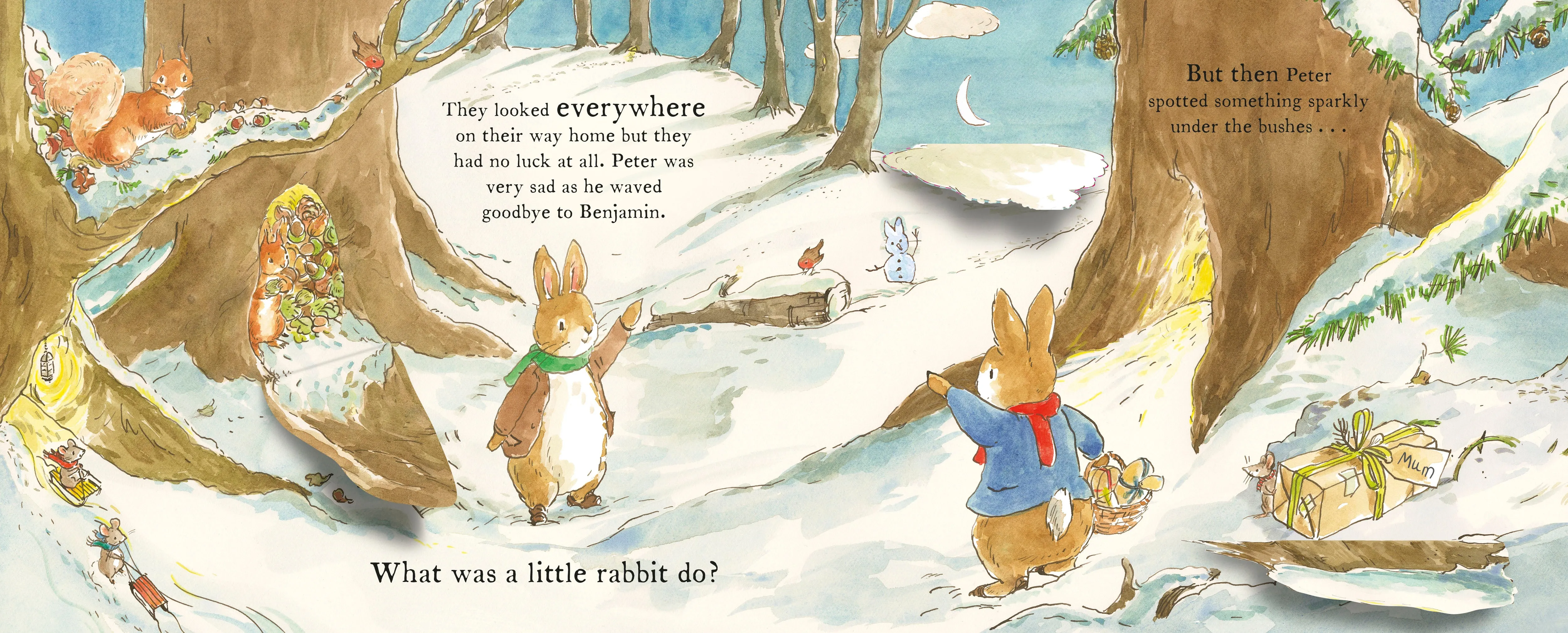 Peter Rabbit Christmas Present Hunt