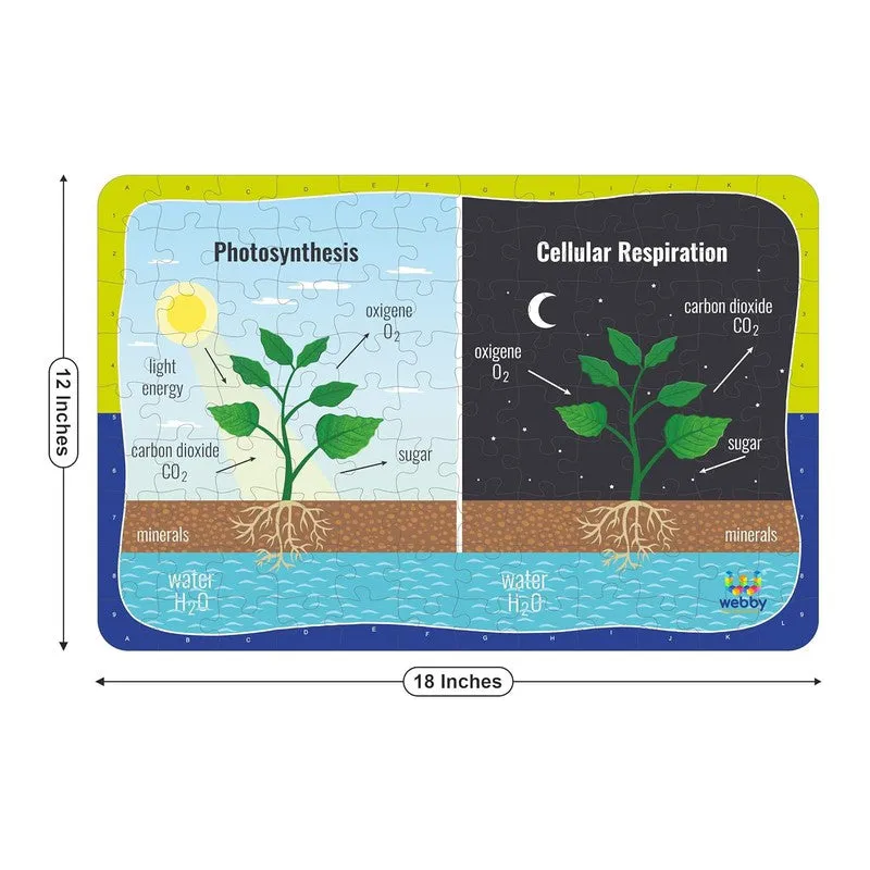 Photosynthesis & Respiration Wooden Jigsaw Puzzle, 108 Pieces