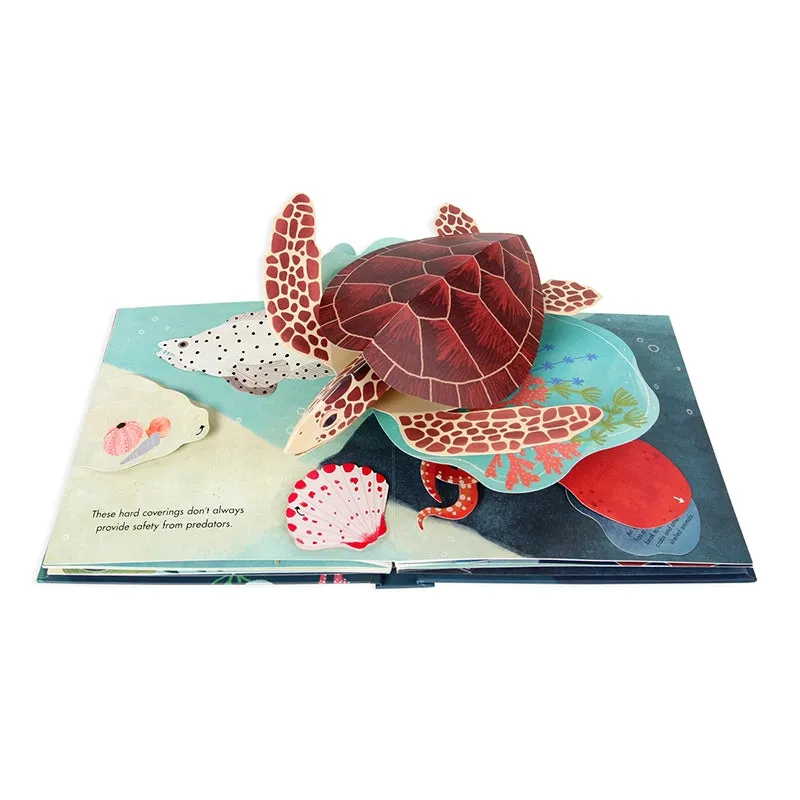 Up With Paper - Shells: A Pop-Up Book Of Wonder