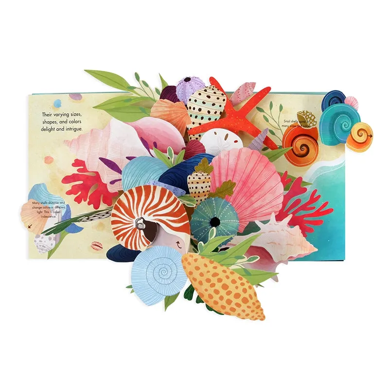 Up With Paper - Shells: A Pop-Up Book Of Wonder