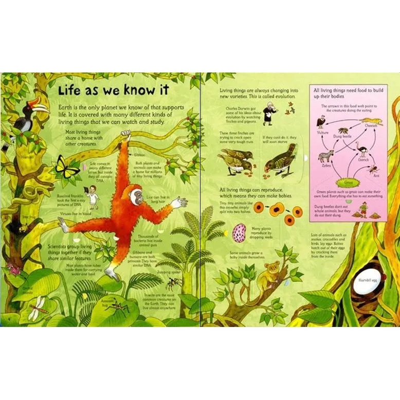 Usborne see inside science